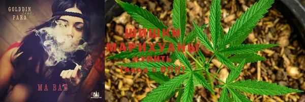 ПСИЛОЦИБИНОВЫЕ ГРИБЫ Туринск