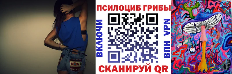 Псилоцибиновые грибы Magic Shrooms  Купить где  Приволжск 